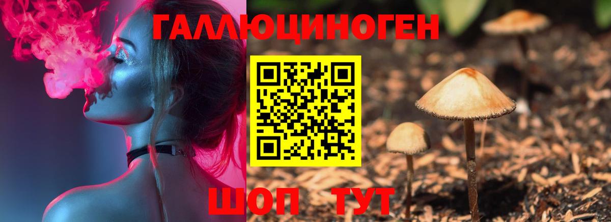 Галлюциногенные грибы ЛСД  Вход с VPN  Зима 